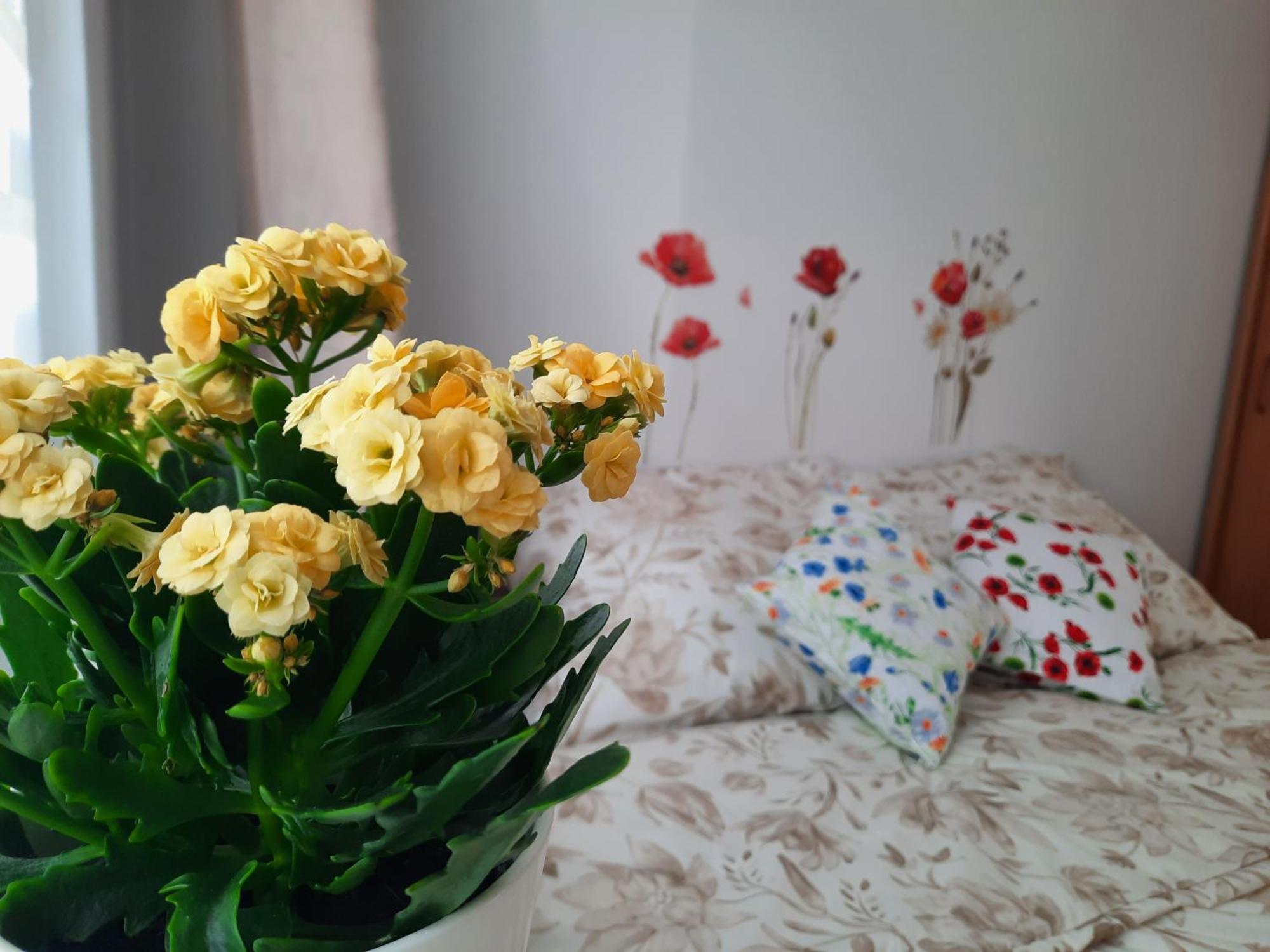 Apartament Baltycka Sardynka Ustka Buitenkant foto